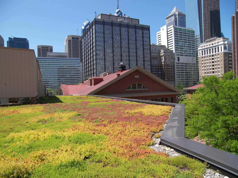 paysagiste-VILLENEUVE LOUBET-min_green-roof-portfolio-4